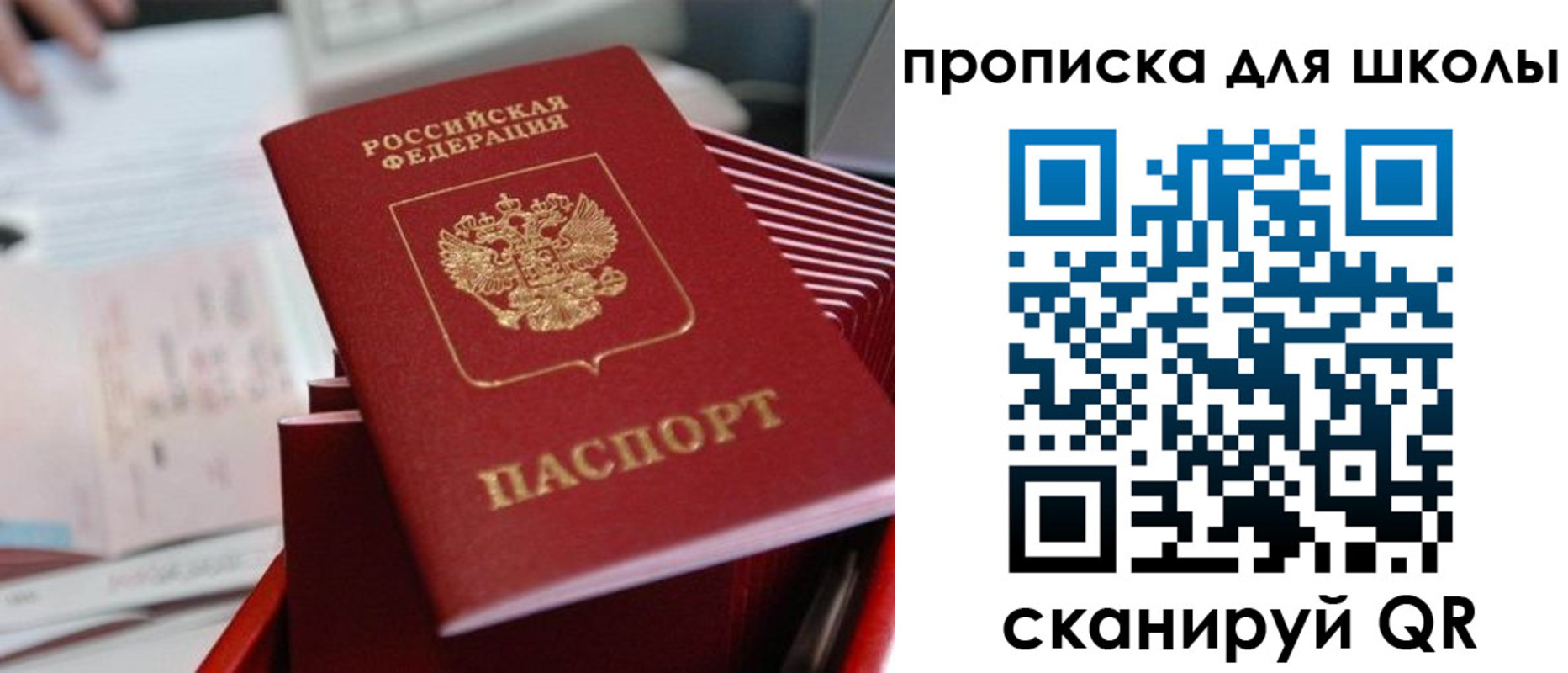 прописка для школы в Северске